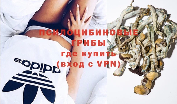 бутират Алексеевка