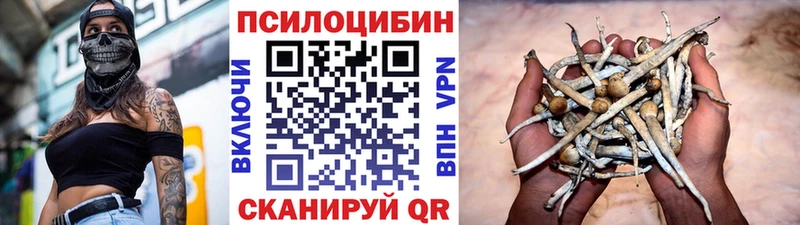 Галлюциногенные грибы Psilocybine cubensis  Кондопога 