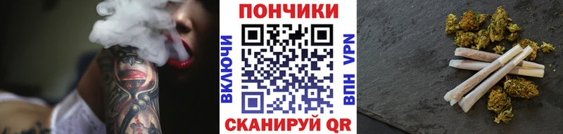 Шишки марихуана сатива  Кондопога 